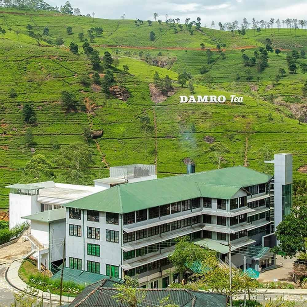 Labookellie Tea Factory Visit